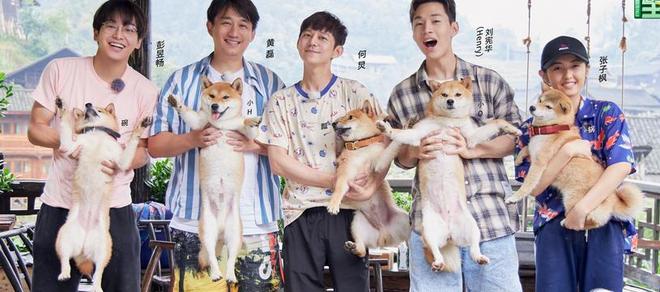 黄磊不再隐瞒坦言戴呼吸机的真实原因他给所有中年男性提了醒(图3)