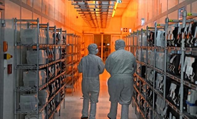 中美和解后中国对荷兰突然出手每天损失230万欧元博弈结局注定(图5)