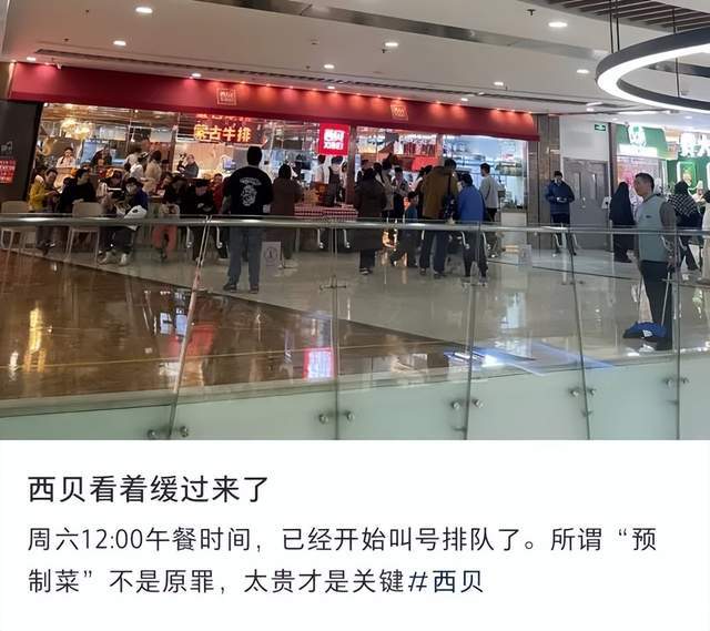 降价、涨薪、现制菜：西贝“回血”90天能跑赢信任消耗赛吗(图1)