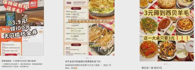 降价、涨薪、现制菜：西贝“回血”90天能跑赢信任消耗赛吗(图2)