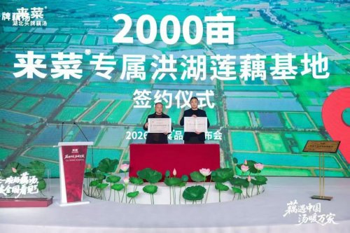 2000亩基地+4S标准湖北来菜重新定义好藕汤(图4)