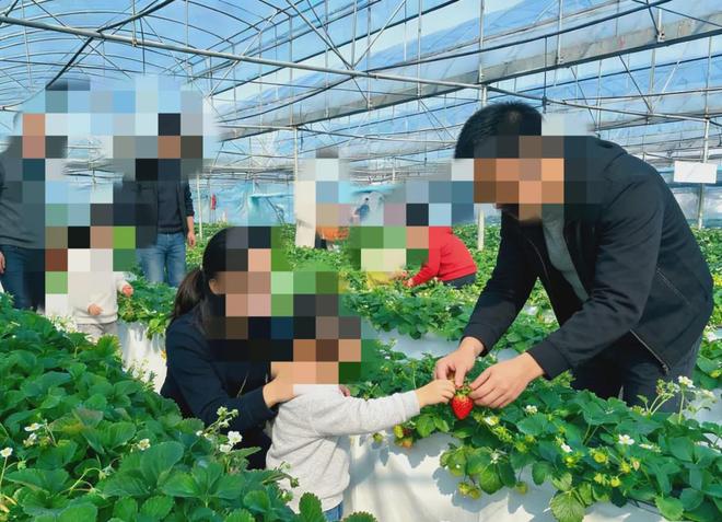 中年程序员放弃城市高薪返乡承包土地创业深陷农村创业大坑(图2)