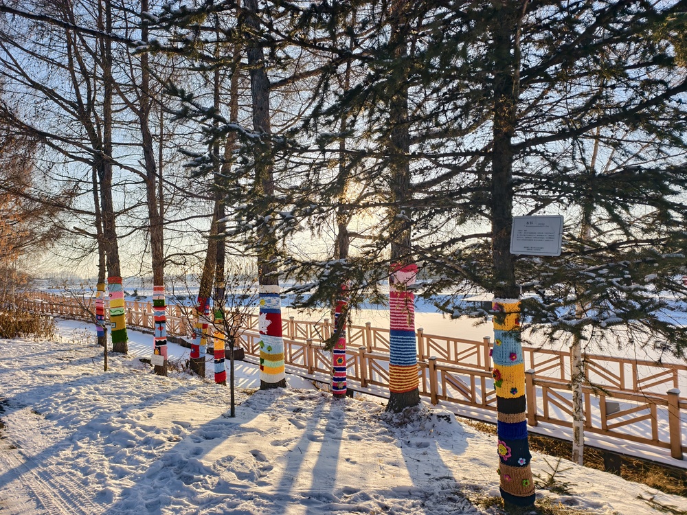 龙江乡村冰雪旅游何以再借“冬”风？(图3)
