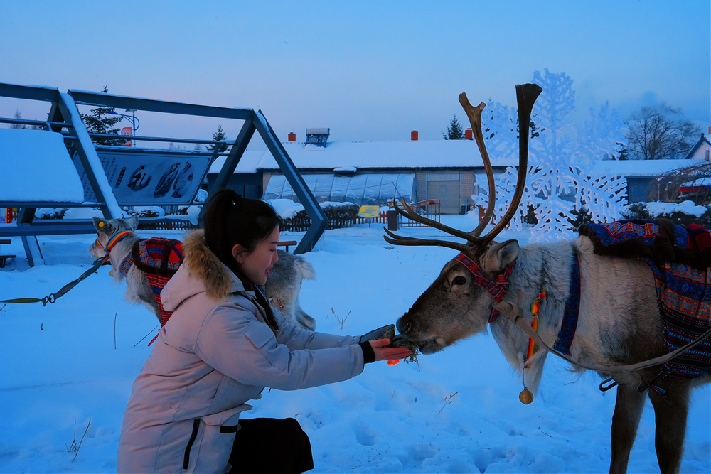 龙江乡村冰雪旅游何以再借“冬”风？(图4)