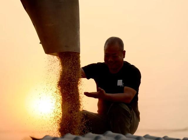 河南馒头冲上热搜外地网友：我急需一个河南朋友(图5)