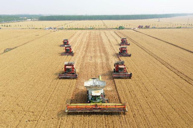 河南馒头冲上热搜外地网友：我急需一个河南朋友(图4)