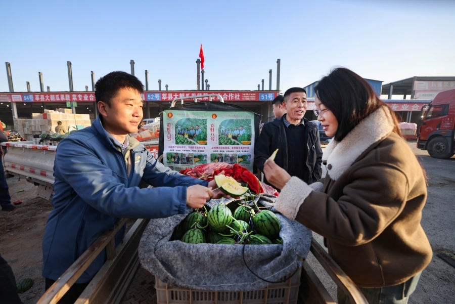 从蔬菜大县到农业强县——莘县现代农业发展的质变之路(图3)