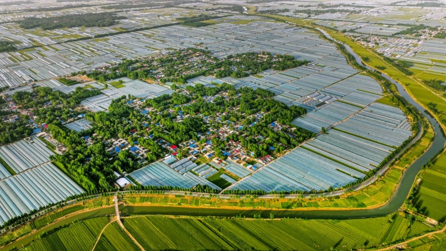 从蔬菜大县到农业强县——莘县现代农业发展的质变之路(图1)