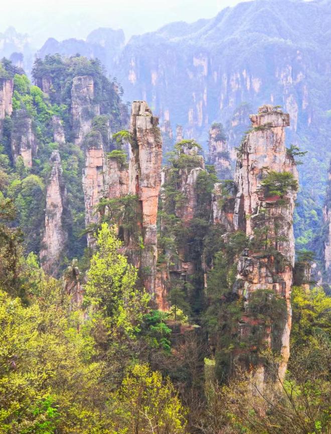 张家界亲子跟团5天4晚必去景点纯玩路线少走弯路超赞(图2)