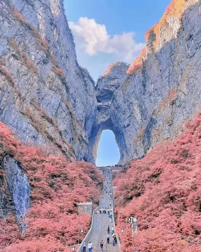 张家界亲子跟团5天4晚必去景点纯玩路线少走弯路超赞(图3)