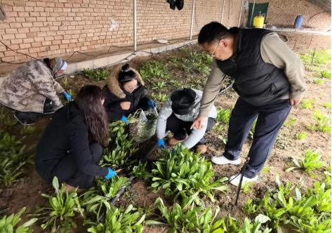 野菜变“甜果”海原返乡青年把“土味”做成品牌(图1)